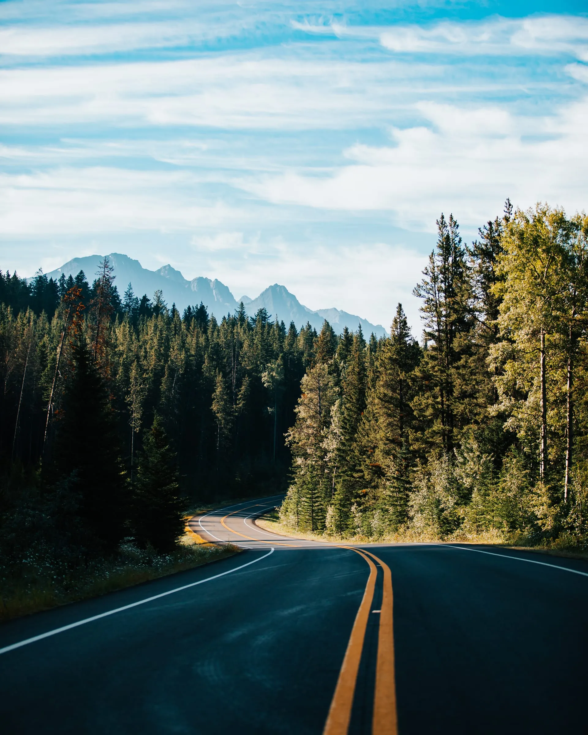 The road in
